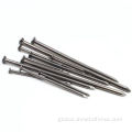 Common Wire Nail Low Carbon Steel Common Nails Galvanized Nails Manufactory